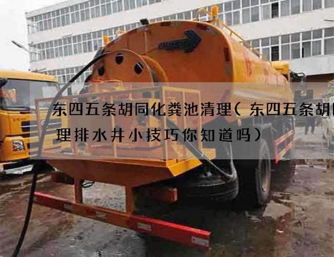 东四五条胡同化粪池清理(东四五条胡同清理排水井小技巧你知道吗)