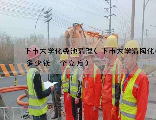 下市大学化粪池清理(下市大学清掏化粪池多少钱一个立方)