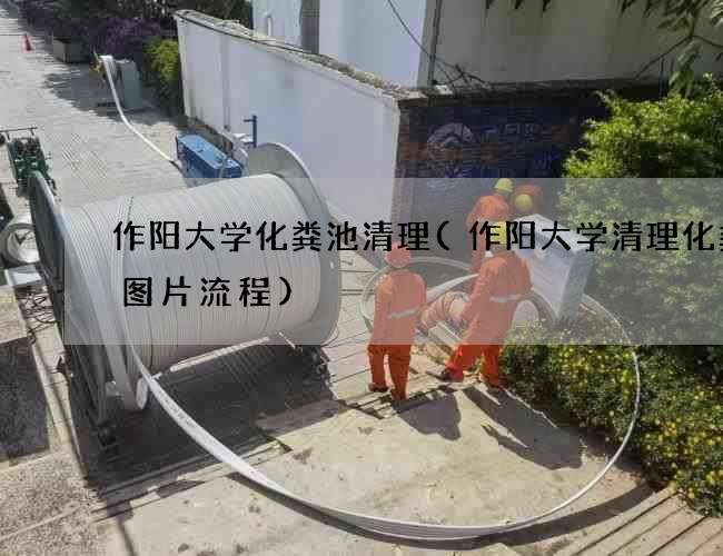 作阳大学化粪池清理(作阳大学清理化粪池图片流程) 作阳大学化粪池清理(作阳大学清理化粪池图片流程)