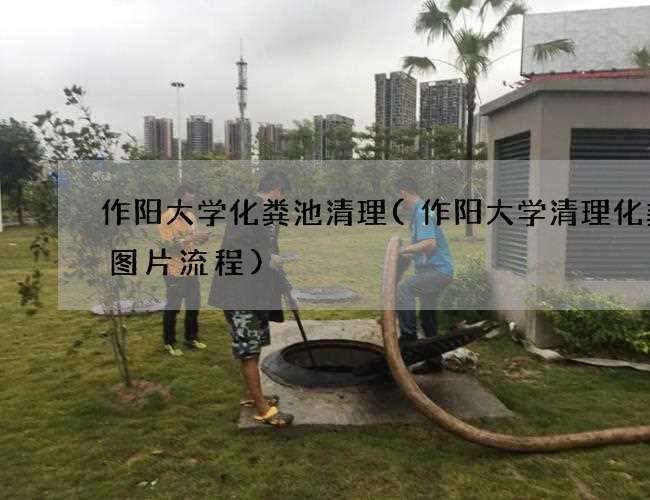 作阳大学化粪池清理(作阳大学清理化粪池图片流程) 作阳大学化粪池清理(作阳大学清理化粪池图片流程)