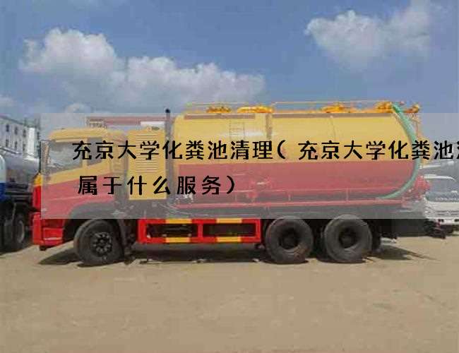 充京大学化粪池清理(充京大学化粪池清掏属于什么服务)