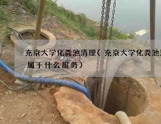 充京大学化粪池清理(充京大学化粪池清掏属于什么服务)