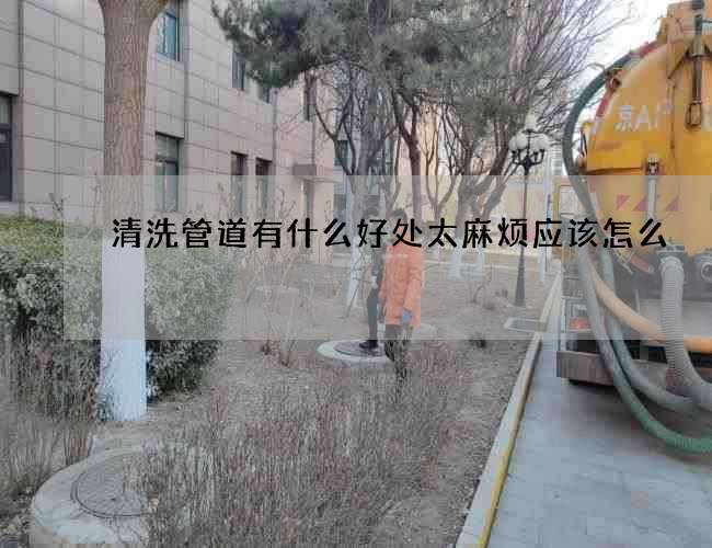 清洗管道有什么好处太麻烦应该怎么 清洗管道有什么好处太麻烦应该怎么