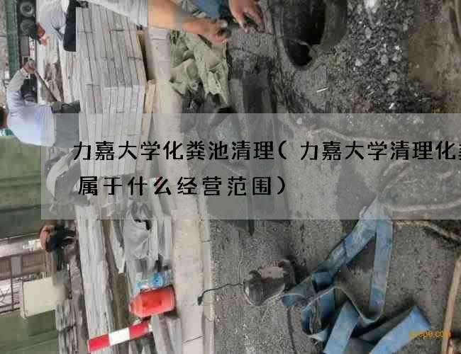 力嘉大学化粪池清理(力嘉大学清理化粪池属于什么经营范围)