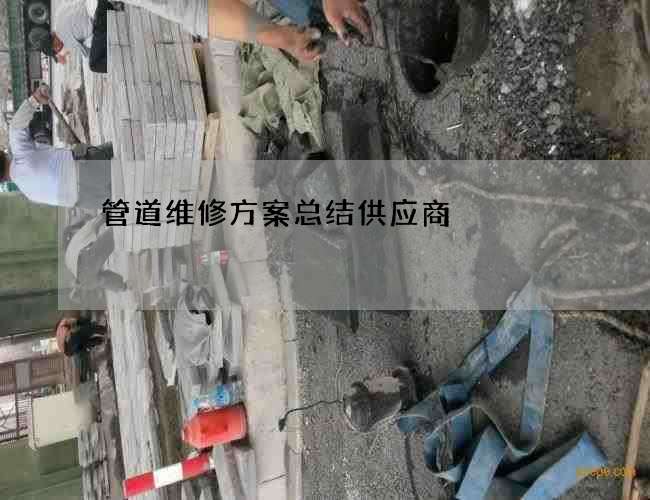管道维修方案总结供应商 管道维修方案总结供应商