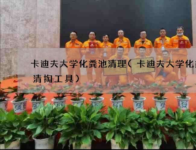 卡迪夫大学化粪池清理(卡迪夫大学化粪池清掏工具)