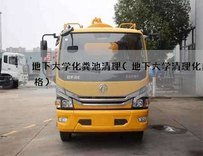地下大学化粪池清理(地下大学清理化粪价格)