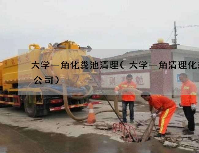 大学一角化粪池清理(大学一角清理化粪池公司) 大学一角化粪池清理(大学一角清理化粪池公司)