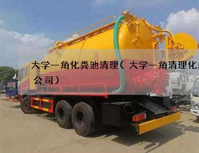 大学一角化粪池清理(大学一角清理化粪池公司) 大学一角化粪池清理(大学一角清理化粪池公司)