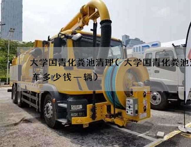 大学国青化粪池清理(大学国青化粪池清理车多少钱一辆)