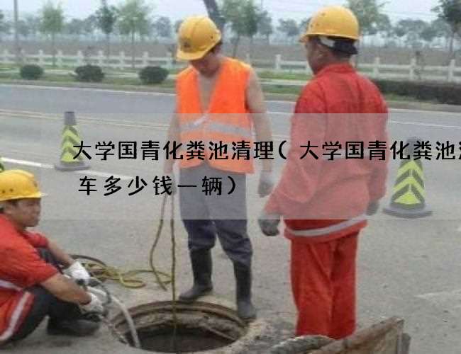 大学国青化粪池清理(大学国青化粪池清理车多少钱一辆)