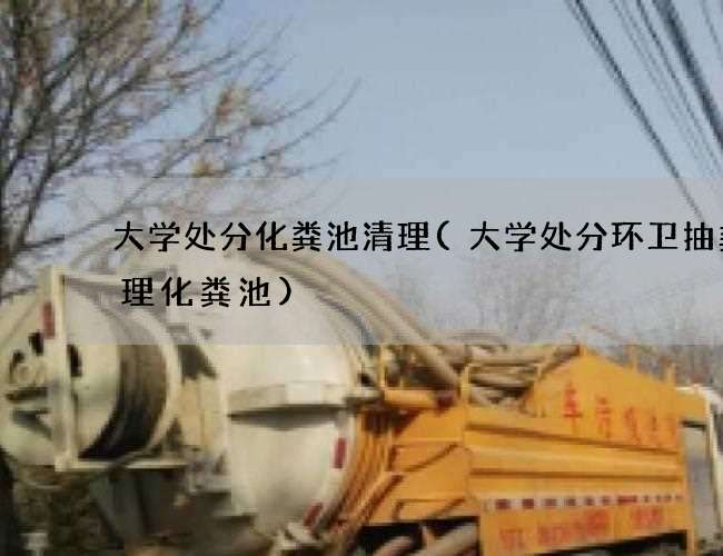 大学处分化粪池清理(大学处分环卫抽粪清理化粪池)