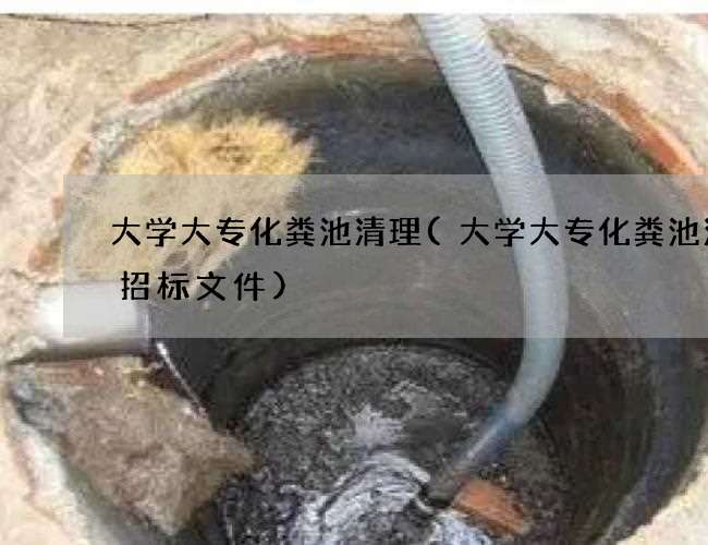 大学大专化粪池清理(大学大专化粪池清掏招标文件)
