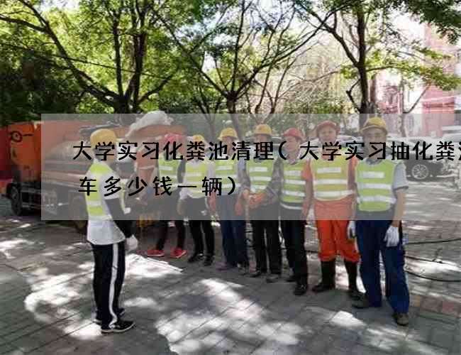 大学实习化粪池清理(大学实习抽化粪池的车多少钱一辆)