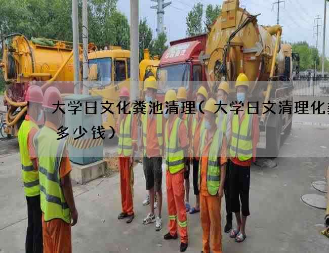 大学日文化粪池清理(大学日文清理化粪池多少钱)