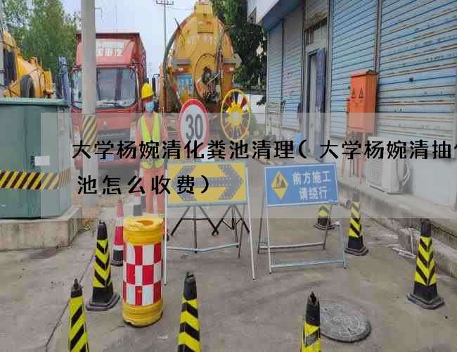 大学杨婉清化粪池清理(大学杨婉清抽化粪池怎么收费)