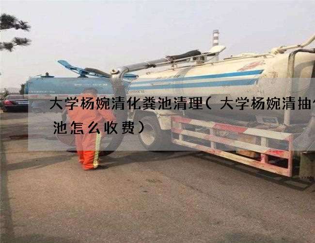 大学杨婉清化粪池清理(大学杨婉清抽化粪池怎么收费)