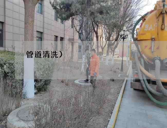 管道清洗) 管道清洗)