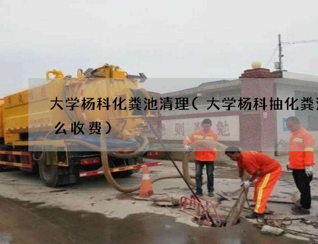 大学杨科化粪池清理(大学杨科抽化粪池怎么收费)
