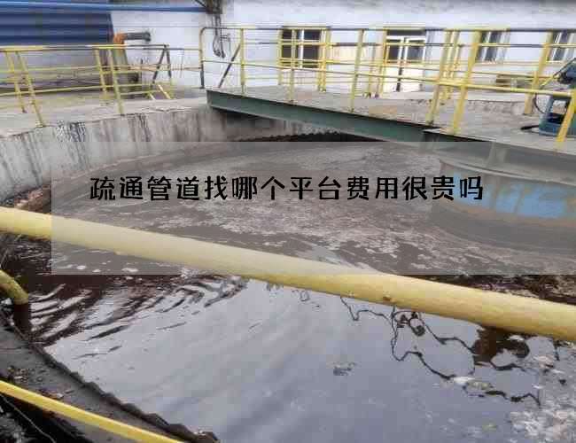 疏通管道找哪个平台费用很贵吗