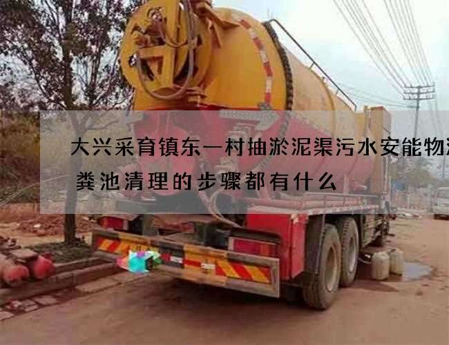 大兴采育镇东一村抽淤泥渠污水安能物流化粪池清理的步骤都有什么 大兴采育镇东一村抽淤泥渠污水安能物流化粪池清理的步骤都有什么