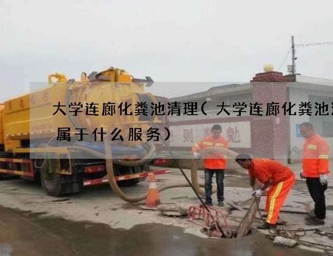 大学连廊化粪池清理(大学连廊化粪池清掏属于什么服务)