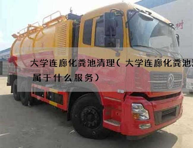大学连廊化粪池清理(大学连廊化粪池清掏属于什么服务)