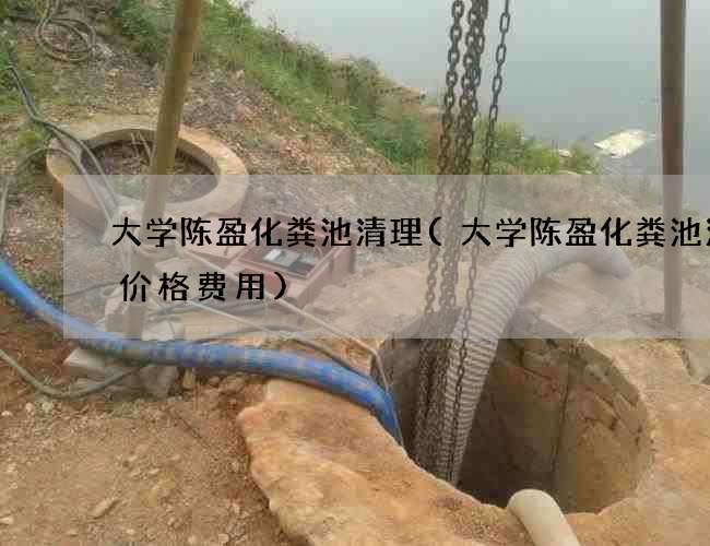 大学陈盈化粪池清理(大学陈盈化粪池清理价格费用)