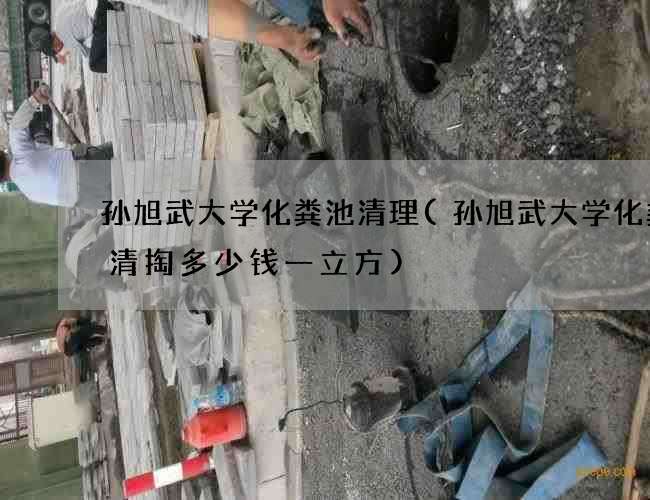 孙旭武大学化粪池清理(孙旭武大学化粪池清掏多少钱一立方)