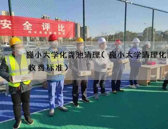 巍小大学化粪池清理(巍小大学清理化粪池收费标准)