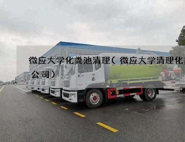 微应大学化粪池清理(微应大学清理化粪池公司)