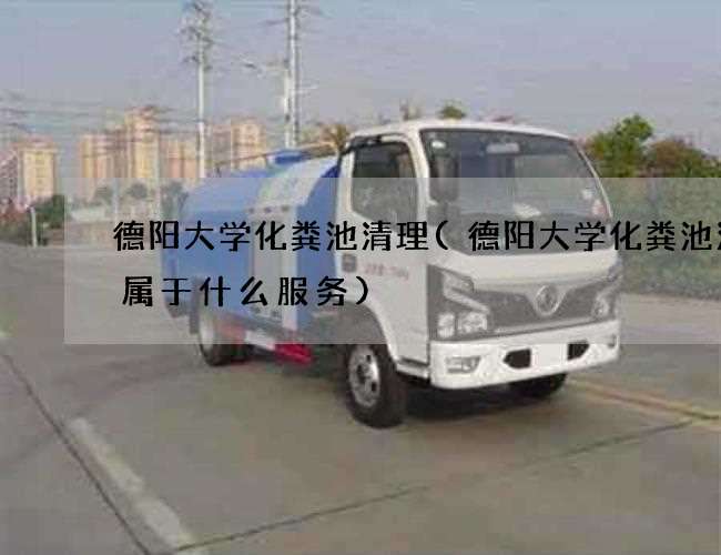 德阳大学化粪池清理(德阳大学化粪池清掏属于什么服务)