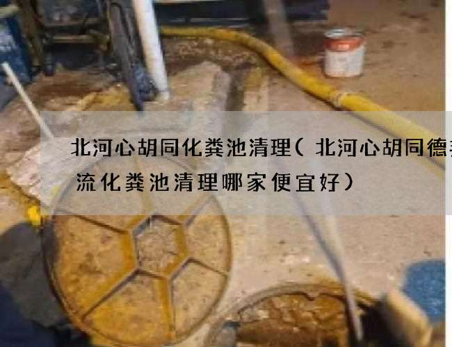 北河心胡同化粪池清理(北河心胡同德邦物流化粪池清理哪家便宜好)