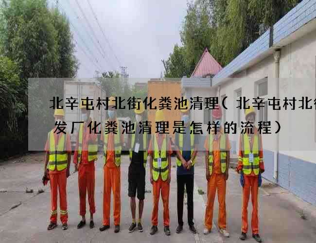 北辛屯村北街化粪池清理(北辛屯村北街批发厂化粪池清理是怎样的流程)