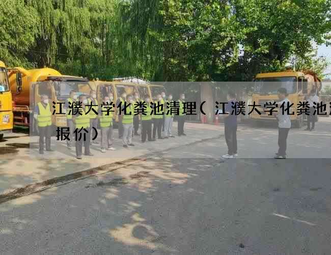 江濮大学化粪池清理(江濮大学化粪池清理报价)