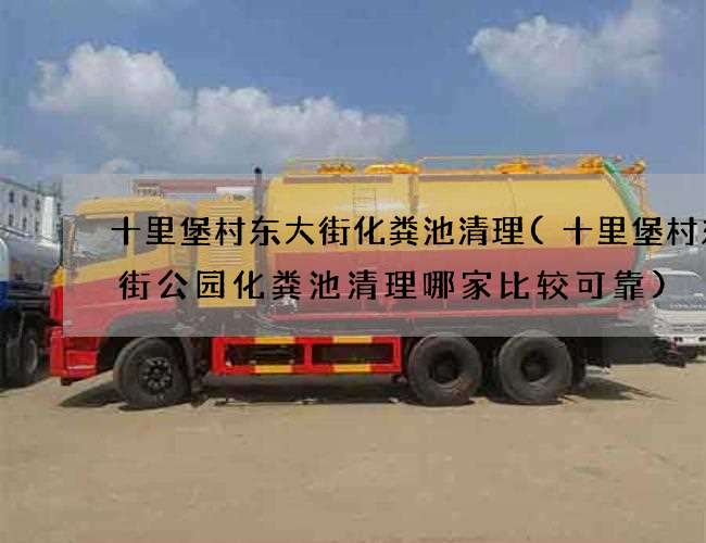十里堡村东大街化粪池清理(十里堡村东大街公园化粪池清理哪家比较可靠)