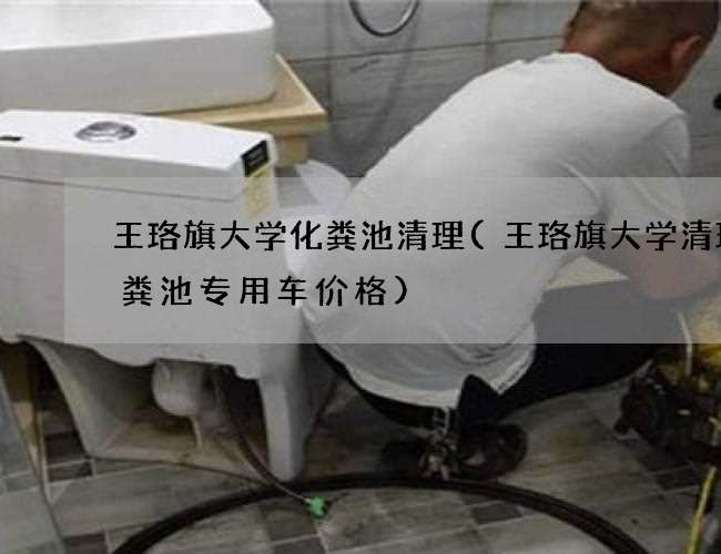 王珞旗大学化粪池清理(王珞旗大学清理化粪池专用车价格)