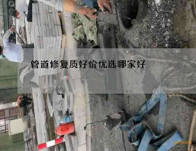 管道修复质好价优选哪家好