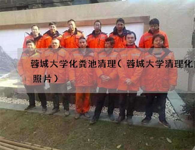 蓉城大学化粪池清理(蓉城大学清理化粪池照片) 蓉城大学化粪池清理(蓉城大学清理化粪池照片)