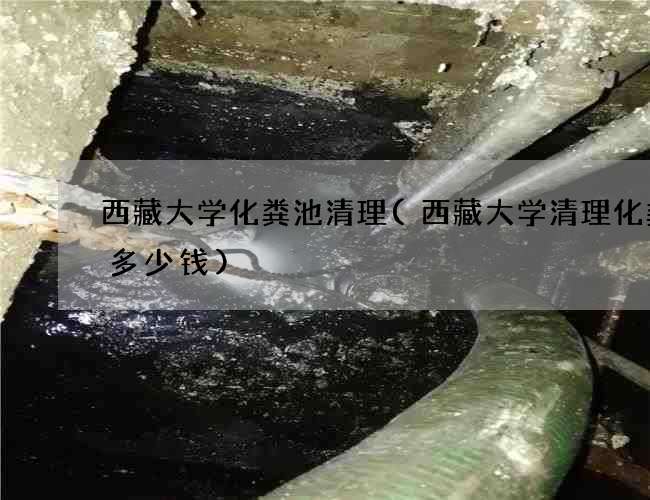 西藏大学化粪池清理(西藏大学清理化粪池多少钱)