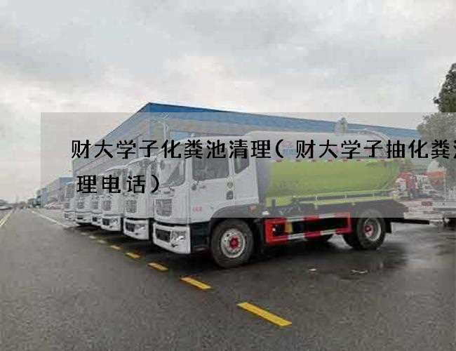财大学子化粪池清理(财大学子抽化粪池清理电话) 财大学子化粪池清理(财大学子抽化粪池清理电话)