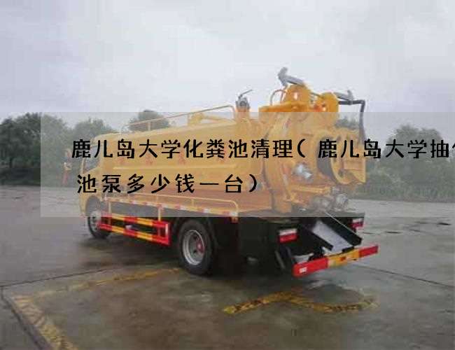 鹿儿岛大学化粪池清理(鹿儿岛大学抽化粪池泵多少钱一台)