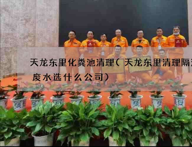 天龙东里化粪池清理(天龙东里清理隔油井废水选什么公司)
