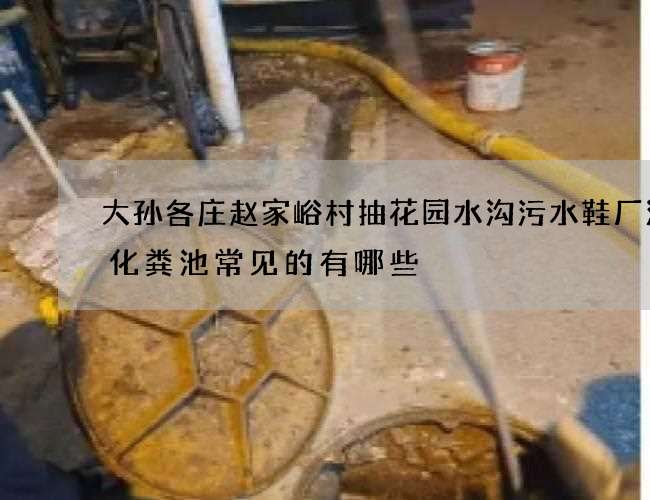 大孙各庄赵家峪村抽花园水沟污水鞋厂清掏化粪池常见的有哪些