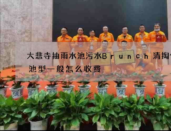 大悲寺抽雨水池污水Brunch清掏化粪池型一般怎么收费
