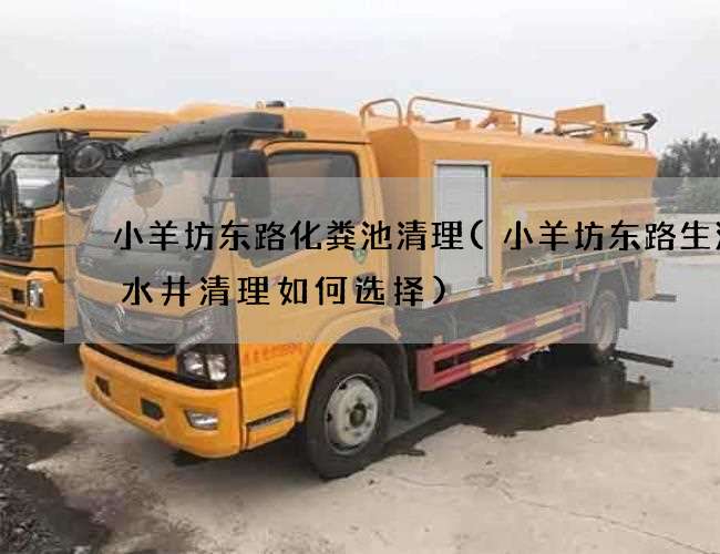 小羊坊东路化粪池清理(小羊坊东路生活污水井清理如何选择)