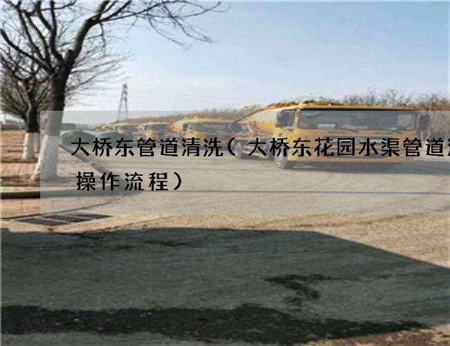 大桥东管道清洗(大桥东花园水渠管道清洗操作流程) 大桥东管道清洗(大桥东花园水渠管道清洗操作流程)