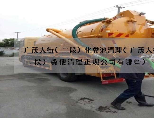 广茂大街(二段)化粪池清理(广茂大街(二段)粪便清理正规公司有哪些)