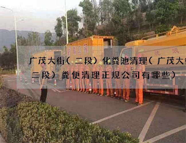 广茂大街(二段)化粪池清理(广茂大街(二段)粪便清理正规公司有哪些)