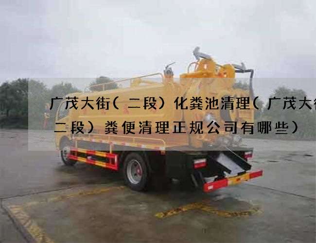 广茂大街(二段)化粪池清理(广茂大街(二段)粪便清理正规公司有哪些)